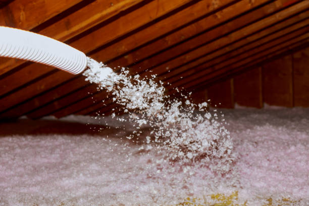 Best Spray Foam Insulation in Chevy Chase, MD