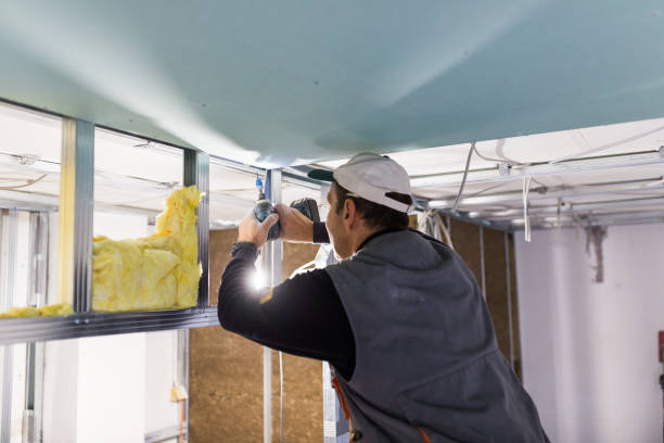Best Insulation for Specific Applications in Chevy Chase, MD