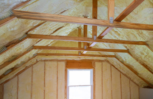 Best Cellulose Insulation in Chevy Chase, MD
