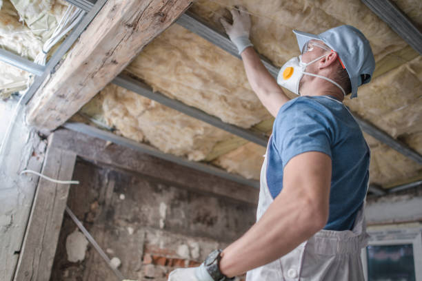 Best Eco-Friendly Insulation in Chevy Chase, MD