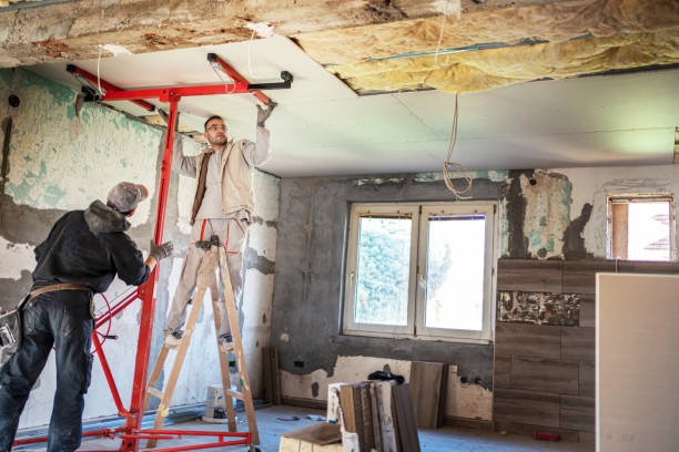 Best Specialized Insulation Services in Chevy Chase, MD