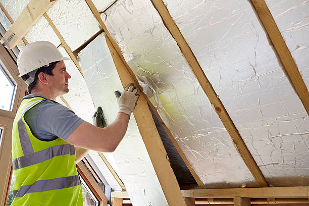 Types of Insulation We Offer in Chevy Chase, MD