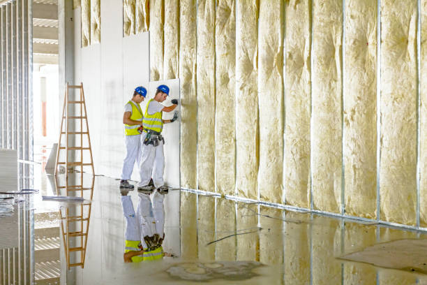 Types of Insulation We Offer in Chevy Chase, MD